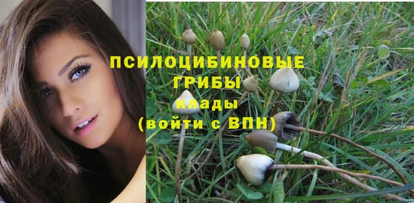 дурь Кинешма