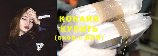 гидра Киренск