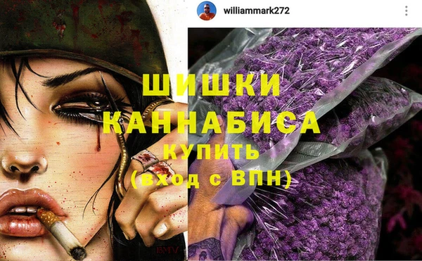 дурь Кинешма
