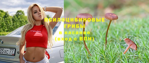 трава Киреевск