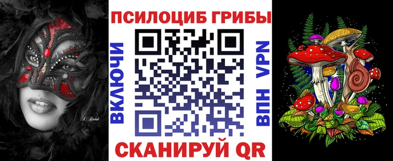 Галлюциногенные грибы Psilocybine cubensis Черкесск