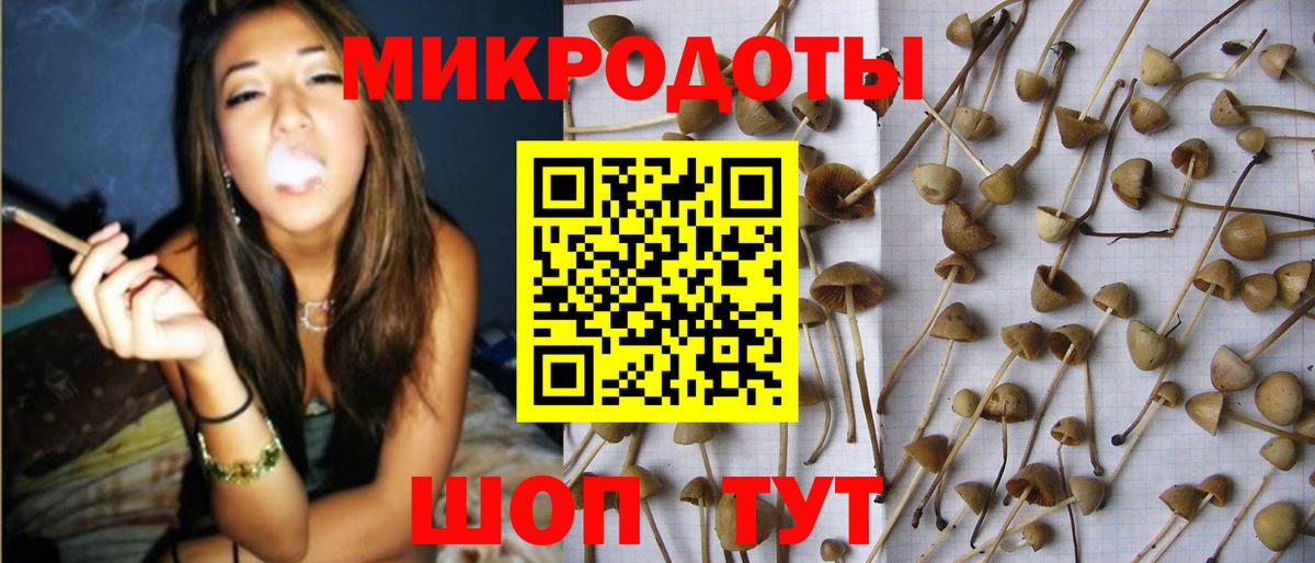 Галлюциногенные грибы ЛСД  Вход с VPN  Черкесск 