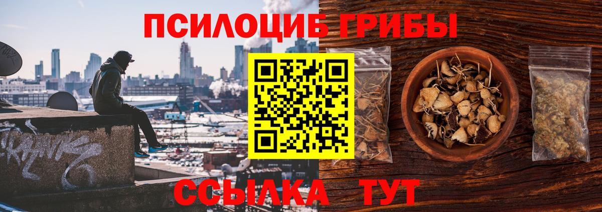 Галлюциногенные грибы GOLDEN TEACHER Черкесск