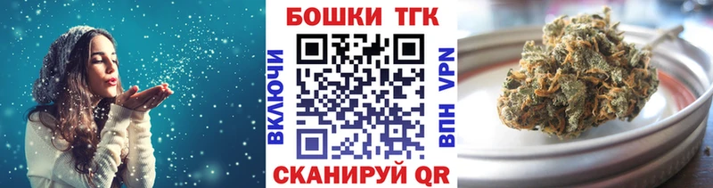 Бошки марихуана OG Kush  продажа наркотиков  Черкесск 